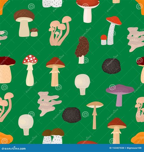 Poisonous And Edible Mushroom Cartoon Icons In Set Collection For