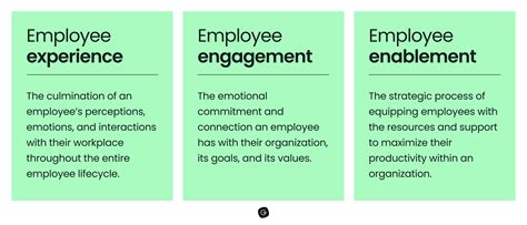 Employee Engagement: Definition, Strategies + Best Practices in the