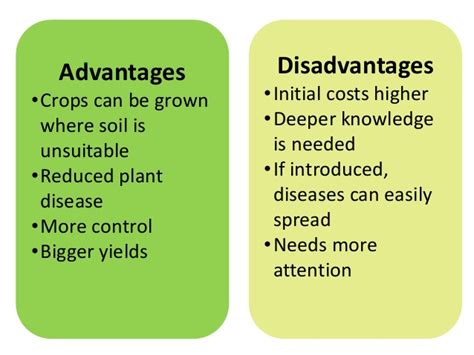 Hydroponics Set Up Procedure And Advantages