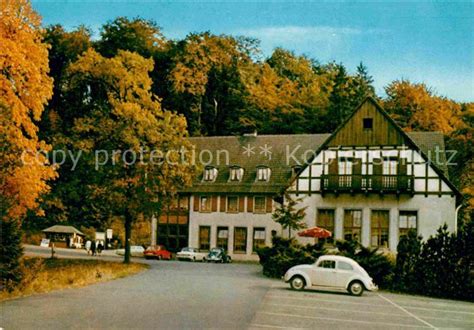 AK Ansichtskarte Warstein Waldhotel Warsteiner Kat Warstein Nr