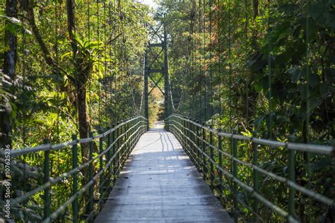 Hanging bridge view in the jungle - Costa rica, scenic landscape Stock ...