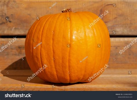 Big Pumpkin Images Stock Photos Vectors Shutterstock