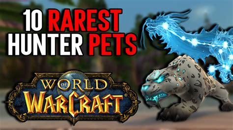 Top 10 Rarest Hunter Pets In World Of Warcraft Can You Tame Them All