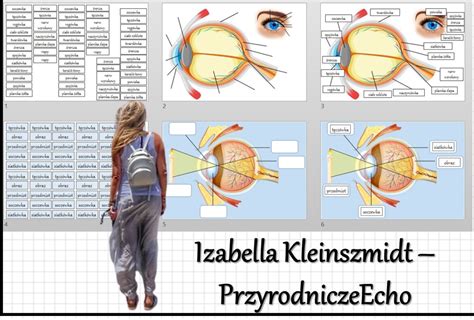 Materiał Do Zalaminowaniapraca W Grupachstacje Zadanioweukładanka