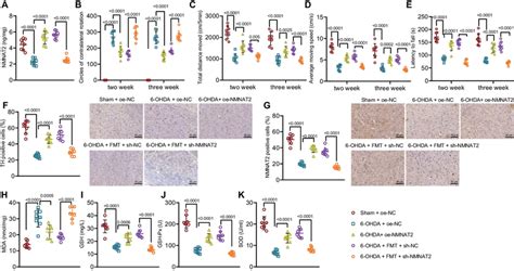 Effects of upregulation of NMNAT2 on neurobehavioral symptoms and ... 
