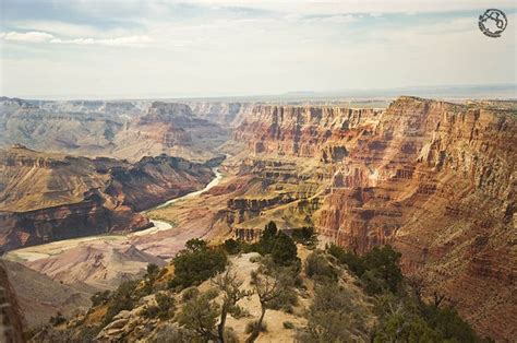 Consejos para visitar el Gran Cañón en 1 día qué hacer qué ver cómo