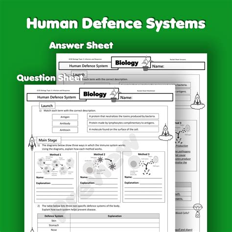 Human Defence Systems Home Learning Worksheet GCSE Rocketsheets Co Uk