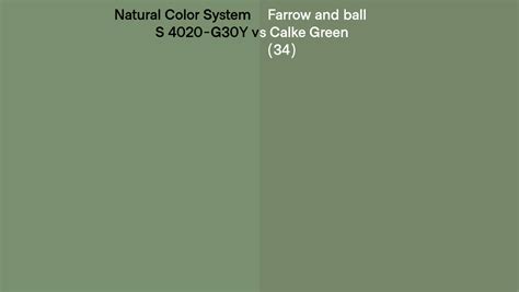 Natural Color System S 4020 G30Y Vs Farrow And Ball Calke Green 34