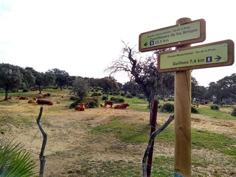 La Junta de Andalucía acometerá mejoras en el Camino Santiago a su paso