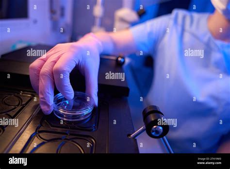 Scientist Incubating Biological Samples In Laboratory Setting Stock