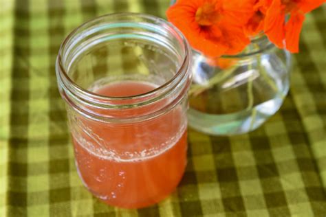 Strawberry Fresca Foodwise