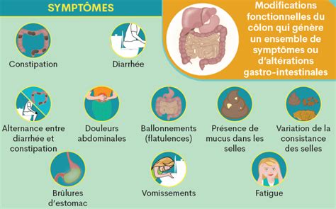 Syndrome Du C Lon Irritable Causes Sympt Mes Traitements