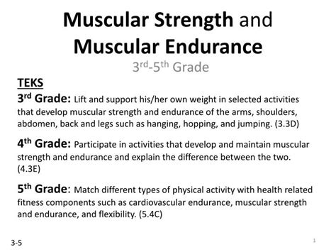 Ppt Muscular Strength And Muscular Endurance Powerpoint Presentation