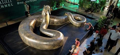 Titanoboa Ular Terbesar Di Dunia Kabar6