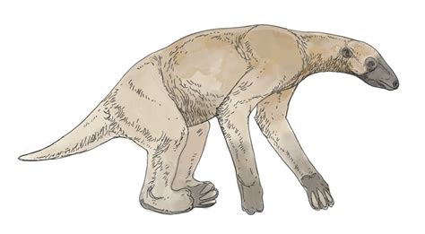 Shasta Ground Sloth (Nothrotheriops shastensis) by Ville Sinkkonen : r/pleistocene