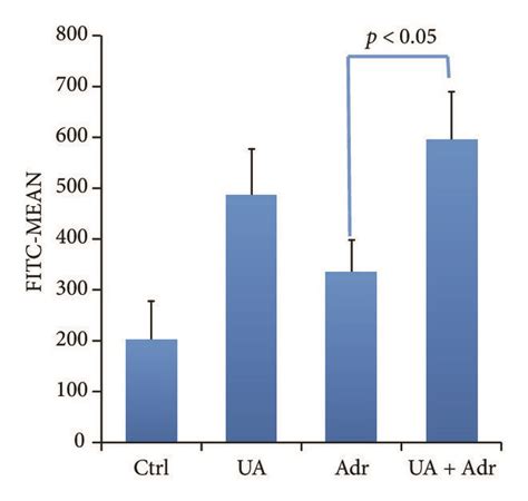 Ua Plus Adr Induced Ros Generation Apoptosis And Cell Cycle Arrest In