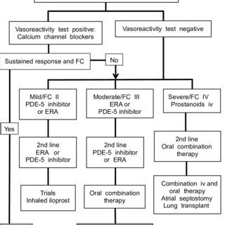 Outline Treatment Algorithm For Pulmonary Arterial Hypertension PAH