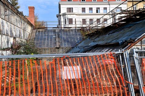 Krenulo pa stalo Staklenik botaničkog vrta se krenuo obnavljati i