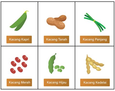 Perhatikan Biji Kacang Kacangan Berikut Ini