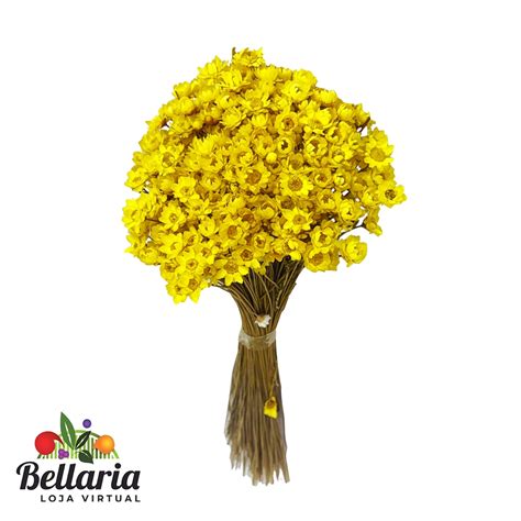 Flores Secas Loja Bellaria Ess Ncia Base Frasco Flores Vela