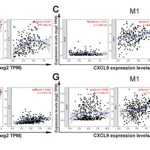 Mitd Protein Expression Levels In Normal And Kirc Tissues The