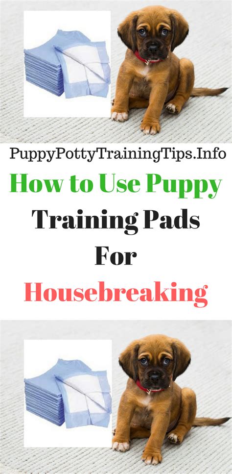 How To Use Puppy Training Pads For Housebreaking Your Puppy Puppy