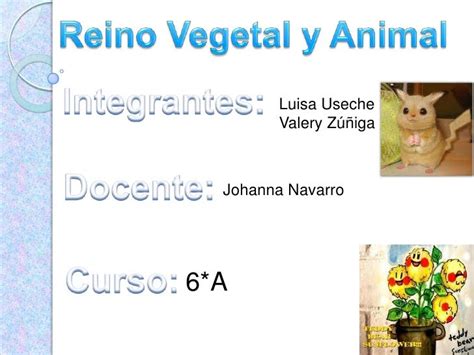 Reino Vegetal Y Animal