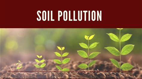 Soil Pollution Meaning Causes Effects And Solutions Youtube