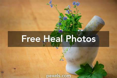 10+ Amazing Heal Photos · Pexels · Free Stock Photos