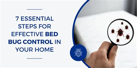 Essential Steps For Effective Bed Bug Control