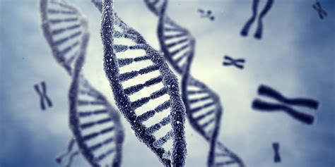 Gmh Genetically Modified Humans Alliance For Natural Health Usa
