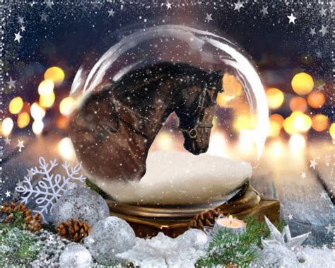 Horse Snow Globe Stock Photos, Pictures & Royalty-Free Images - iStock