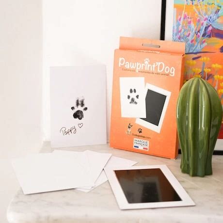 Top 20 Idées Cadeaux pour Fan de Chiens 2025 CadeauZapp