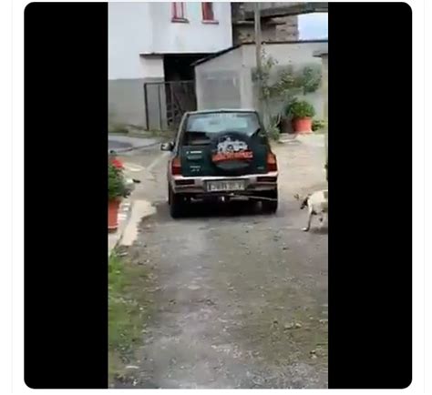 V Deo Denuncian A Un Cazador De Lugo Que Arrastraba A Un Perro Atado