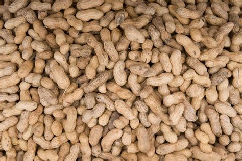 Feeding Babies Peanuts Regularly Helps Prevent Allergy In Later Life