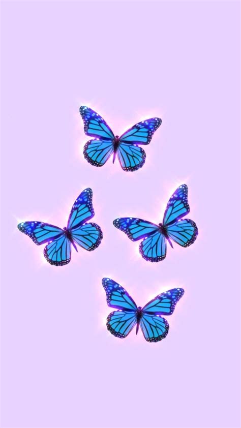 Beautiful Butterfly Hd Wallpapers For Mobile Screen Butterfly 🦋