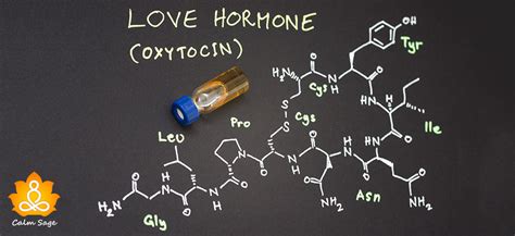 Oxytocin: The Love Hormone | Why We Need It | How We Can Get It