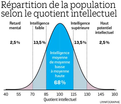 En Quoi Consiste Un Test De QI