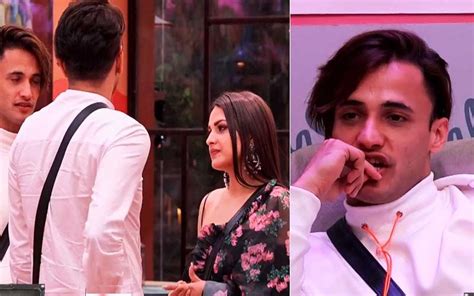 Bigg Boss Jan Spoiler Alert Vikas Gupta Confronts Asim