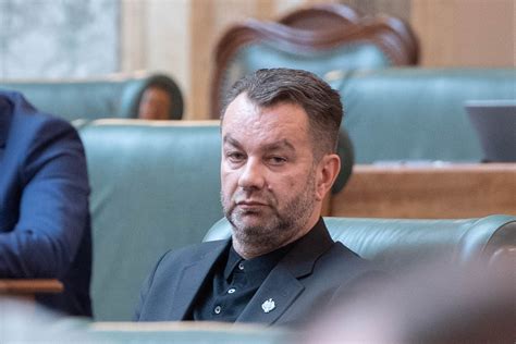 Senator Ovidiu Puiu Vicepre Edinte Psd Arge Actualul Sistem De