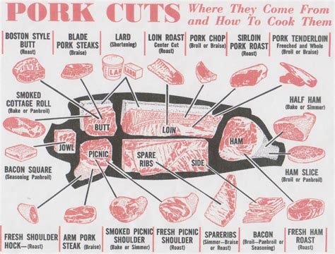 Pork Cuts Mediamatic