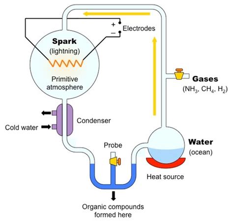 Different Theories That Explain The Formation Of Organic Molecules