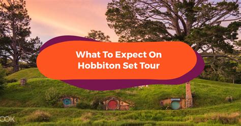 What To Expect On A Hobbiton Set Tour – Movie Magic Comes To Life - Klook Travel Blog