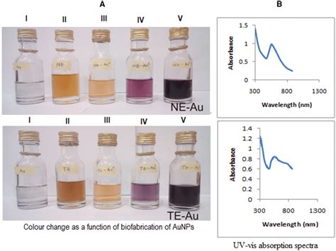 Course Of Biosynthesis Of AuNPs A I Salt Solution II Crude