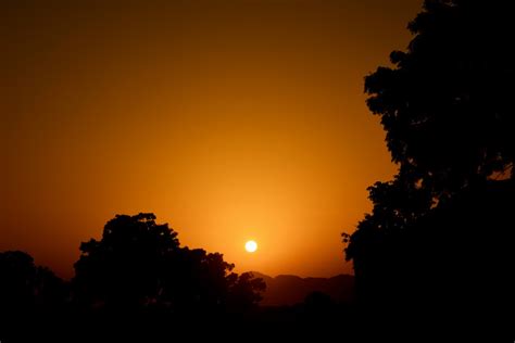 Free Images Tree Horizon Silhouette Cloud Sun Sunrise Sunset