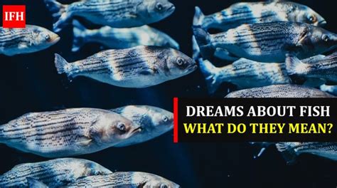 Dreams About Fish What Do They Exactly Mean