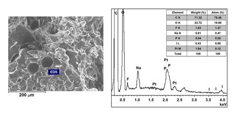 Figure S8 Eds Analysis Of The Re Fractured Surface Of A Healed