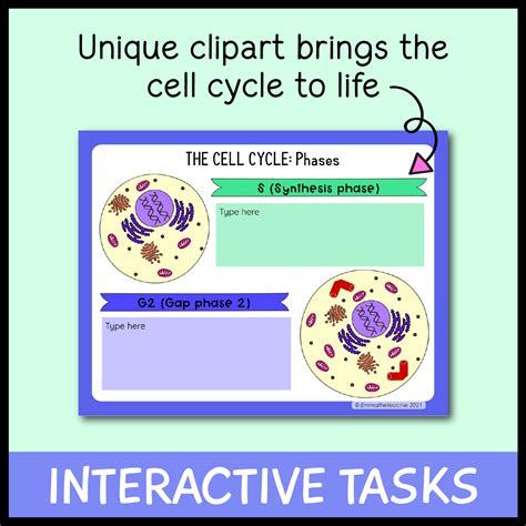 Cell Cycle Google Slides Emmatheteachie