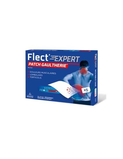 Flect Expert Patch Gaulth Rie Chaud Froid X Avis Et Achat Sur