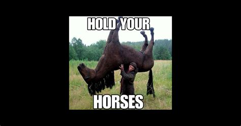 Hold Your Horse Funny Meme Hold Your Horse Sticker Teepublic